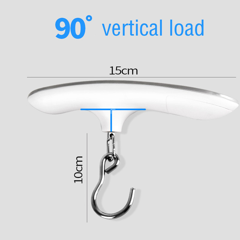 Portable Scale Digital LCD Dis - Fishing Equipment Stores recensione e prezzo